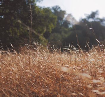 皇马遭遇连败，主帅面临压力