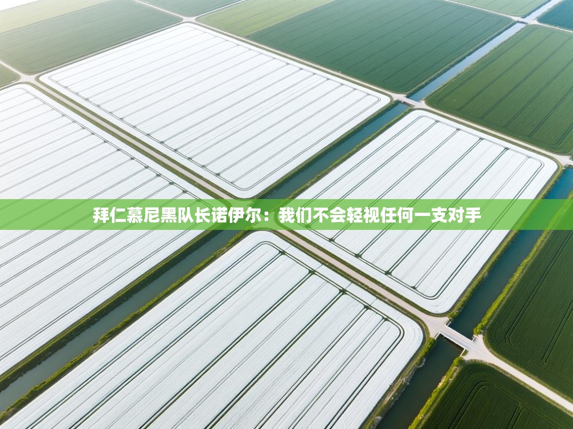 拜仁慕尼黑队长诺伊尔：我们不会轻视任何一支对手  第1张