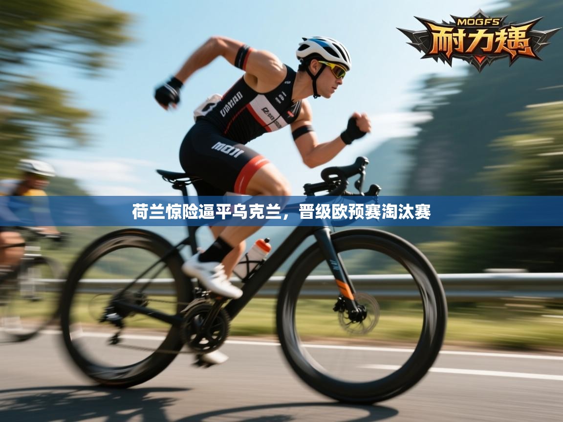 荷兰惊险逼平乌克兰,晋级欧预赛淘汰赛 第2张