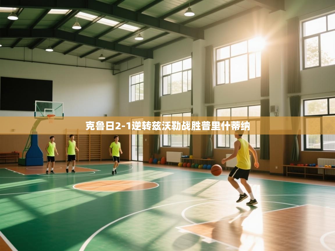 克鲁日2-1逆转兹沃勒战胜普里什蒂纳  第2张