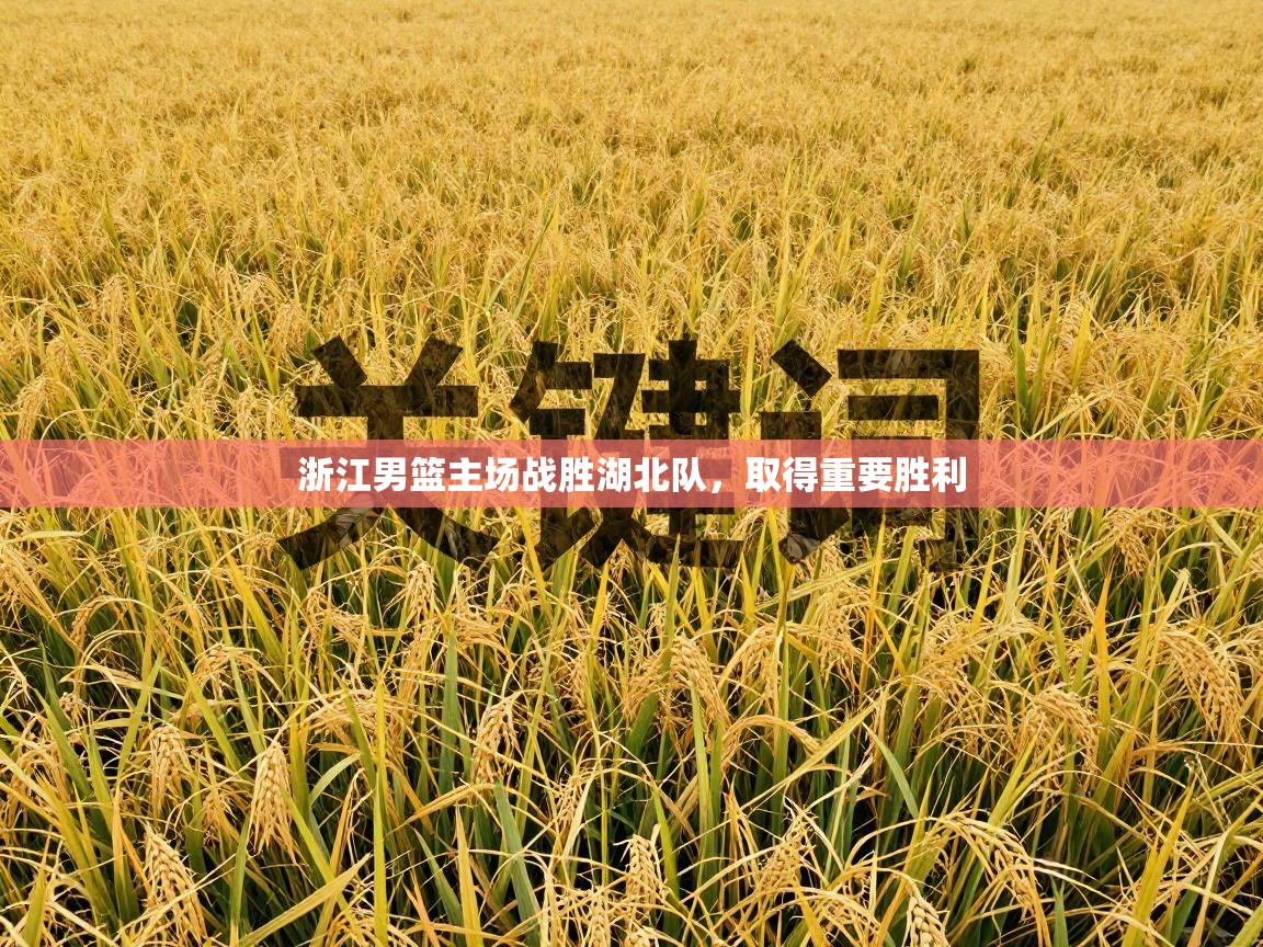 浙江男篮主场战胜湖北队，取得重要胜利