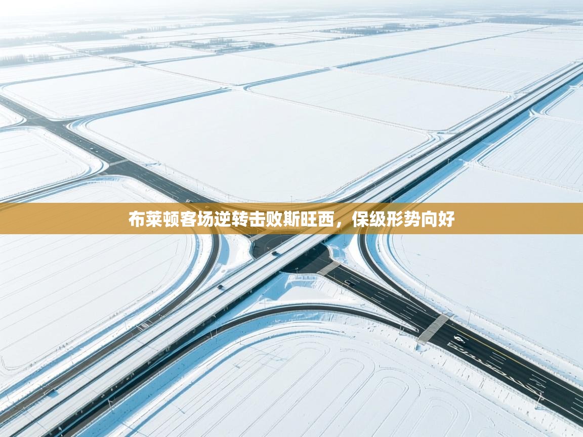 布莱顿客场逆转击败斯旺西,保级形势向好 第1张