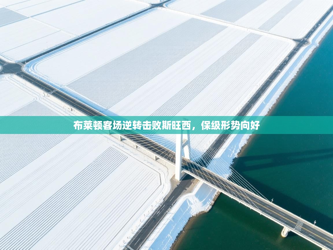 布莱顿客场逆转击败斯旺西,保级形势向好 第2张