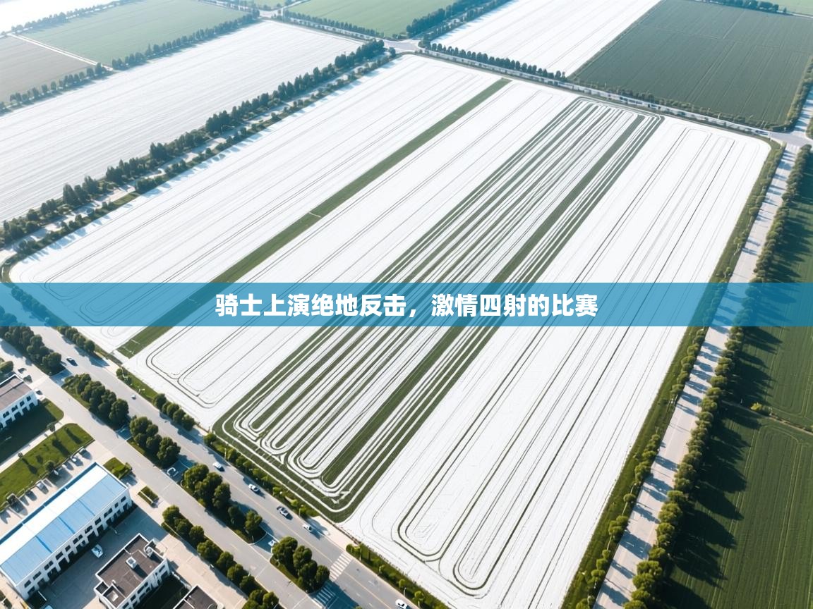 骑士上演绝地反击,激情四射的比赛 第2张