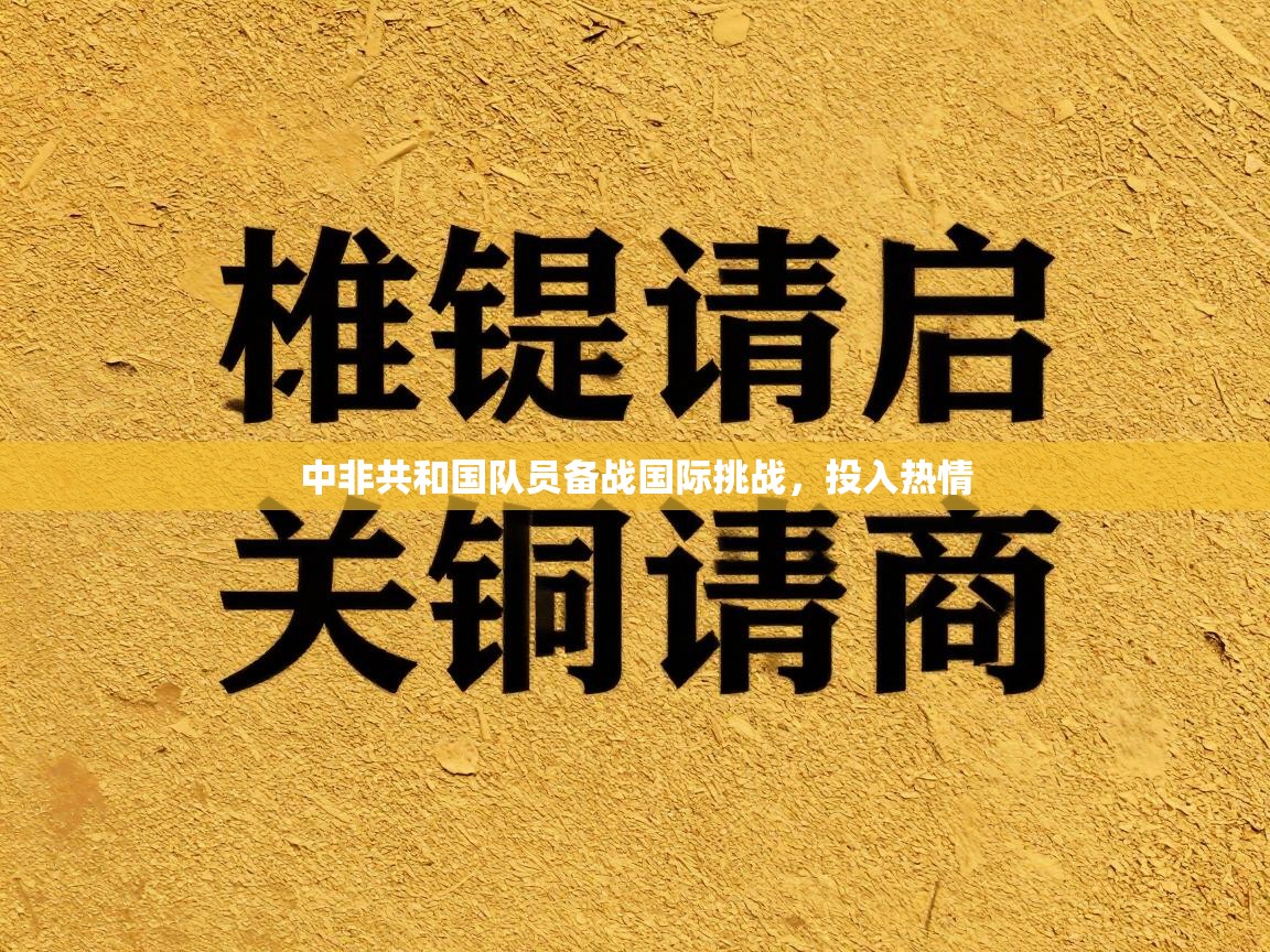 中非共和国队员备战国际挑战,投入热情 第1张